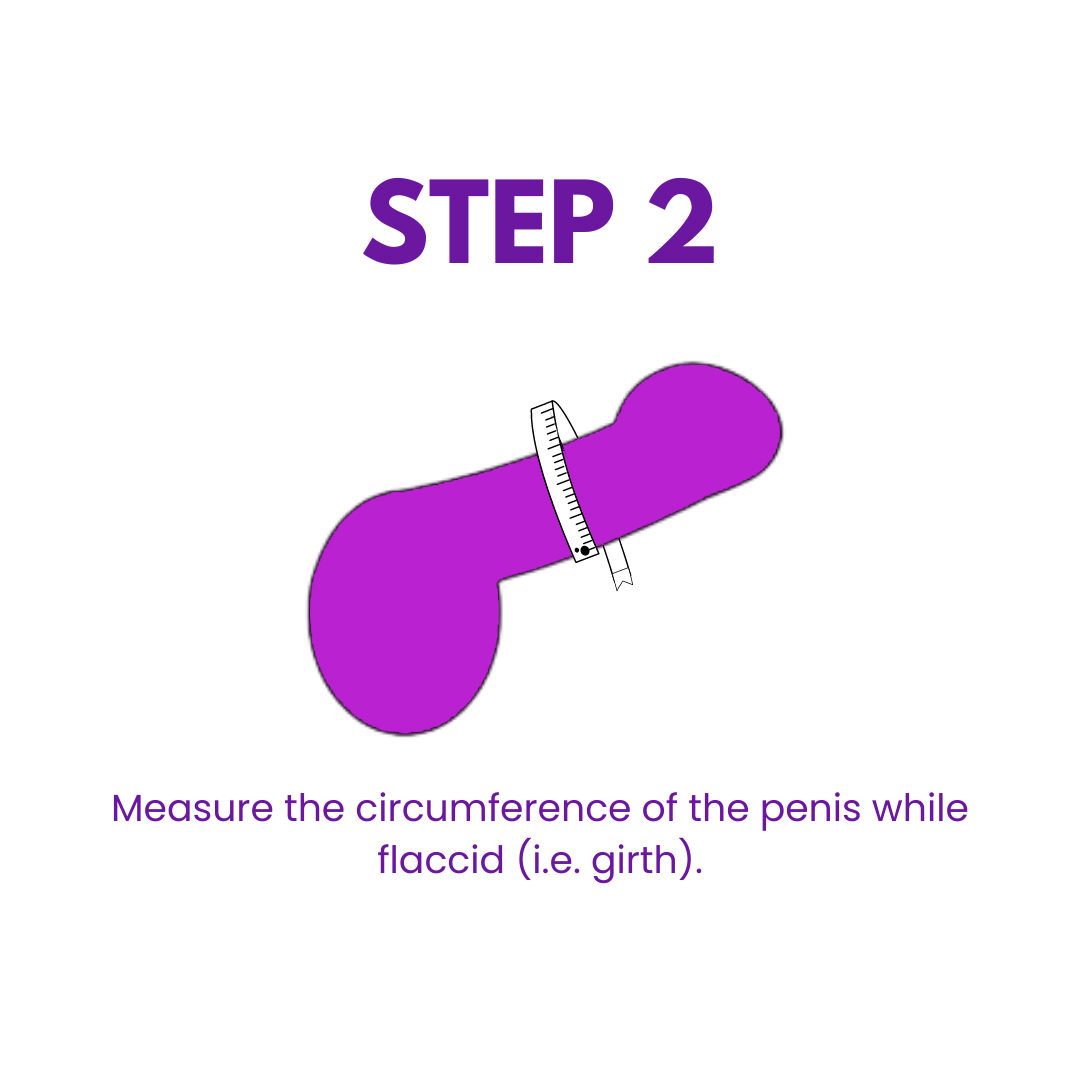 Illustration of how to measure the circumference of the penis for chastity