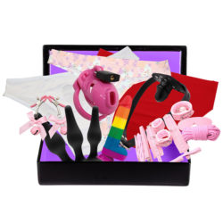 Extra Large Humiliation Kit showing the sex toys and chastity cage inside